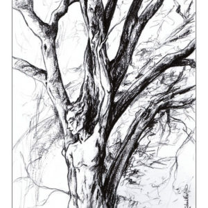 dessin fée Dryade