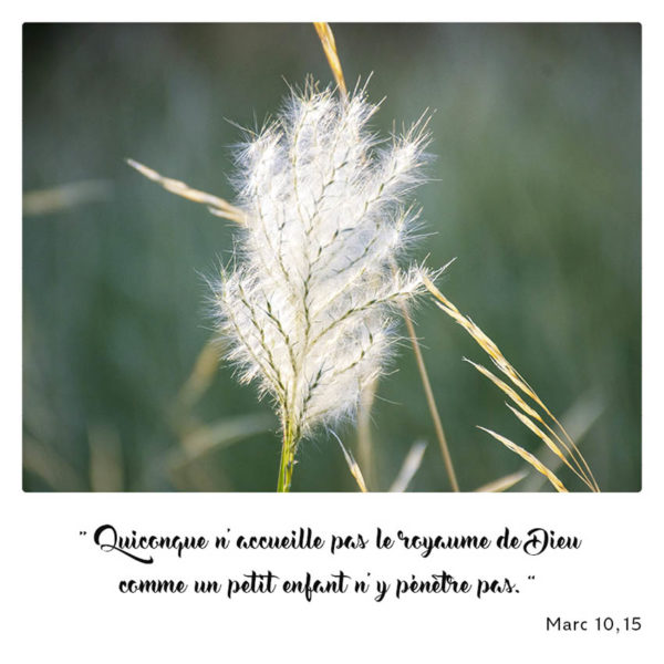 Carte Quiconque n'accueille pas le royaume de Dieu