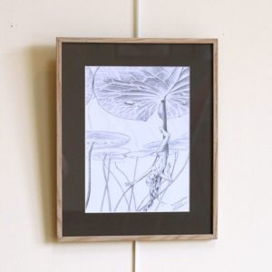 Original Sous les nénuphdines